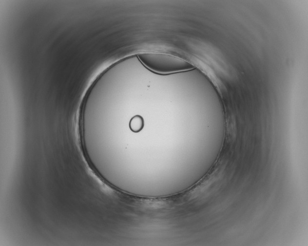 X0000112841103200909041517