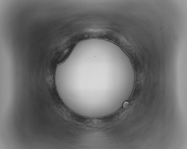 X0000112841109200909041517