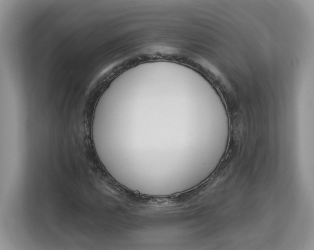 X0000112841112200909041517