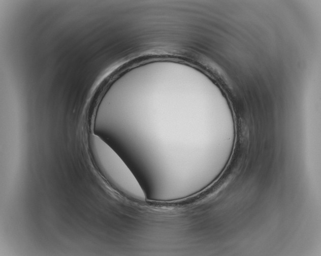 X0000112841114200909041517