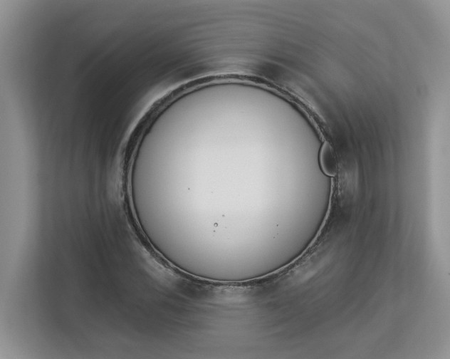 X0000112841116200909041517