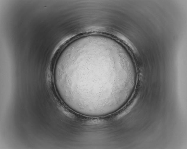 X0000112841117200909041517