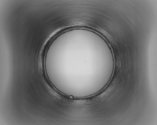 X0000112841118200909041517