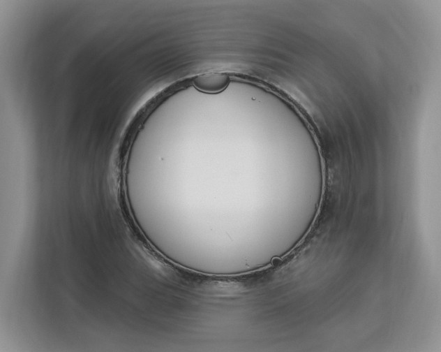 X0000112841119200909041517