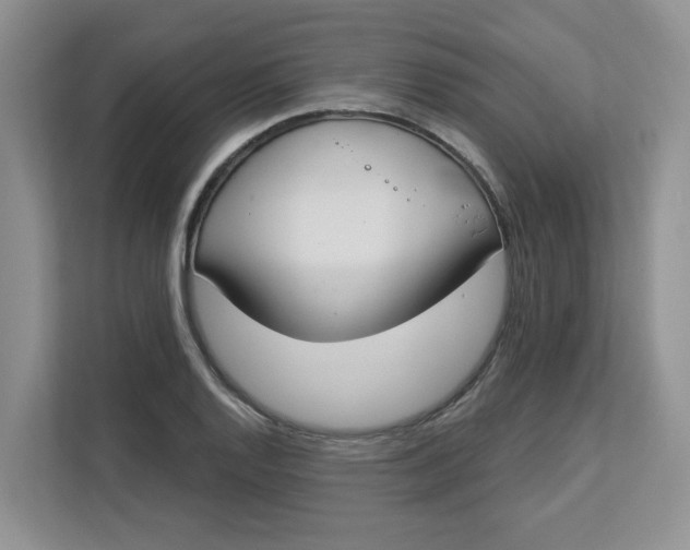 X0000112841128200909041517