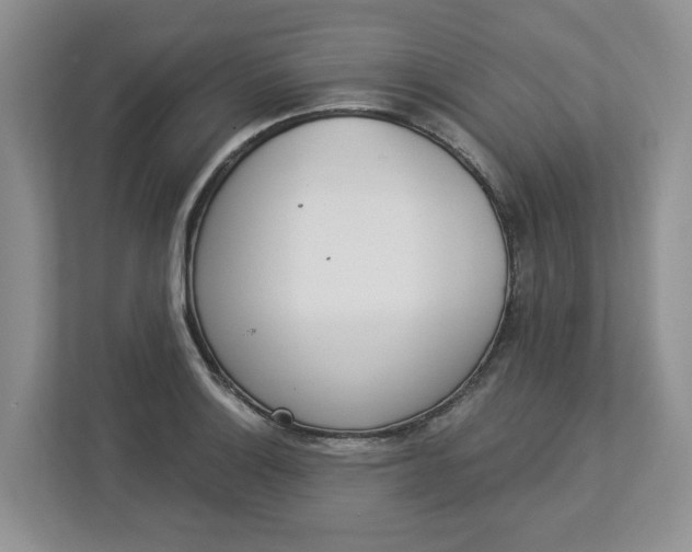 X0000112841132200909041517