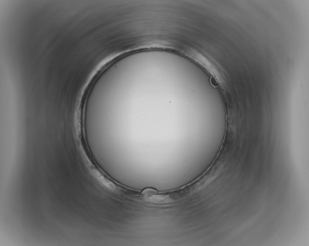 X0000112841140200909041517