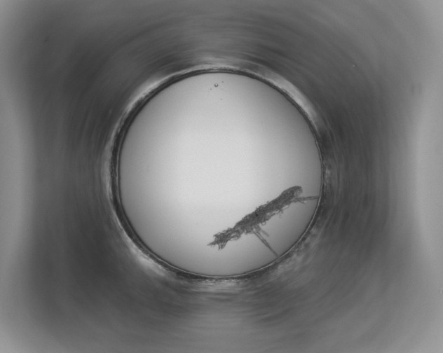 X0000112841143200909041517