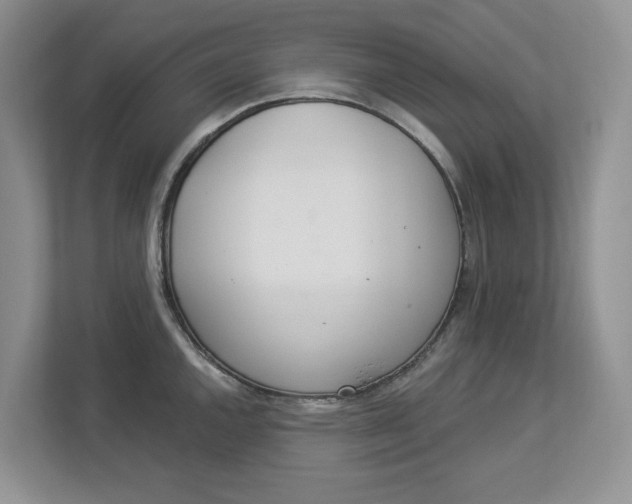 X0000112841144200909041517