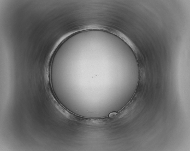 X0000112841148200909041517