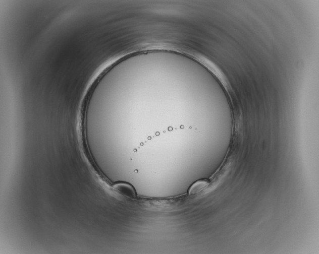 X0000112841149200909041517