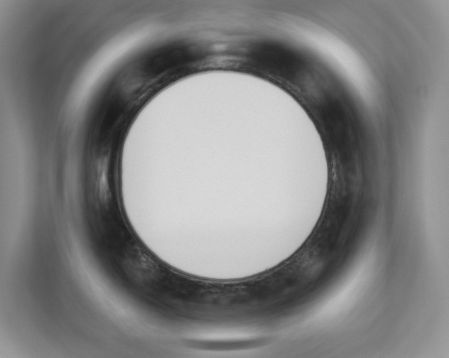 X0000112841150200909041517