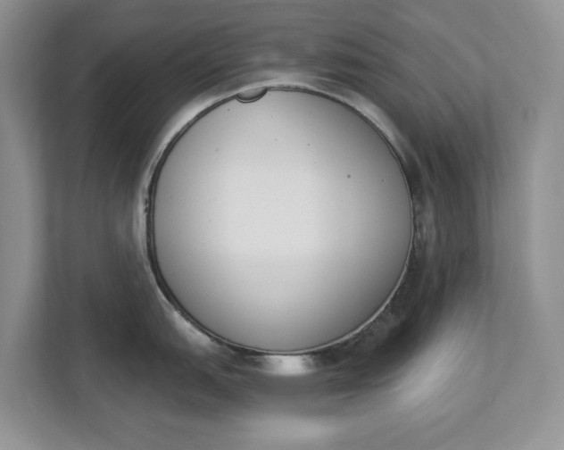 X0000112841151200909041517