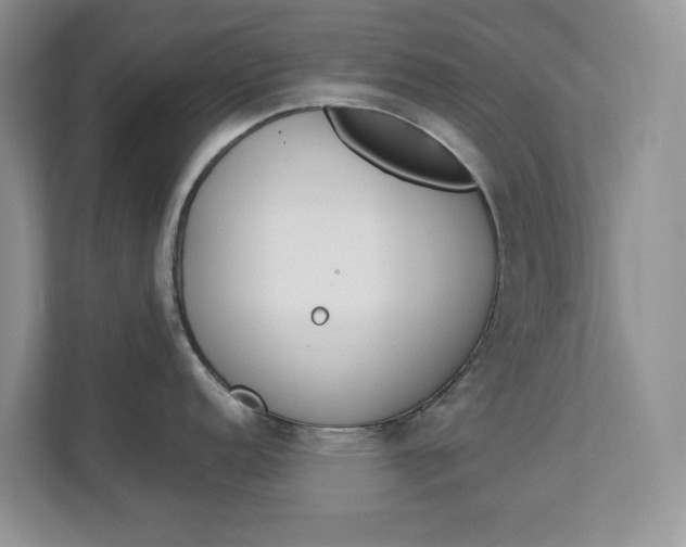 X0000112841152200909041517