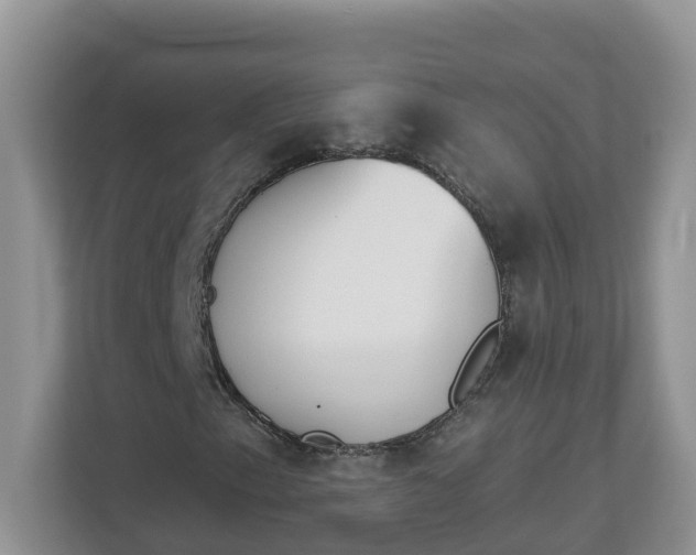 X0000112841153200909041517