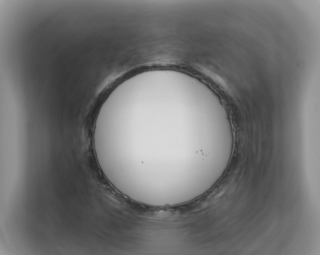 X0000112841160200909041517