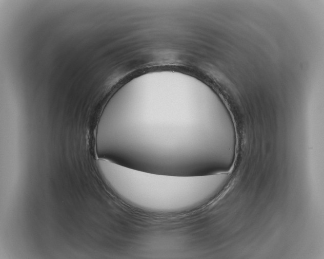 X0000112841161200909041517