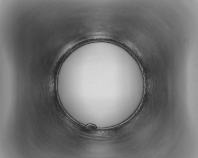 X0000112841167200909041517