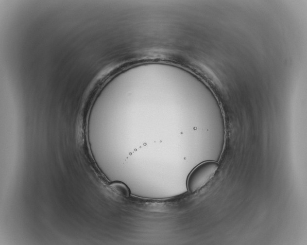 X0000112841172200909041517