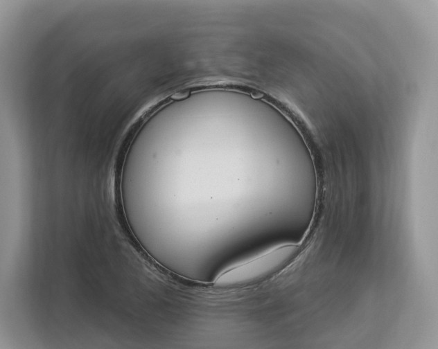 X0000112841173200909041517