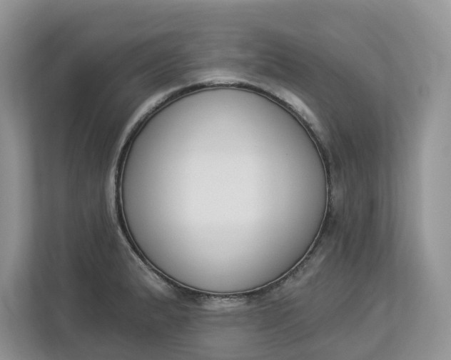 X0000112841183200909041516