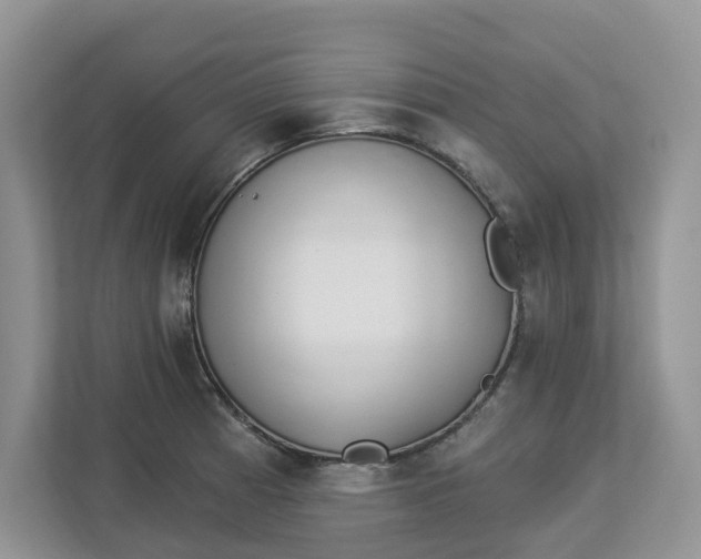 X0000112841185200909041516