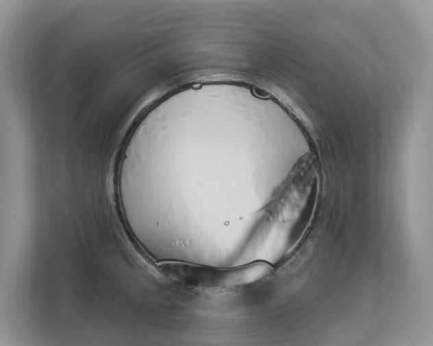 X0000112841189200909041516