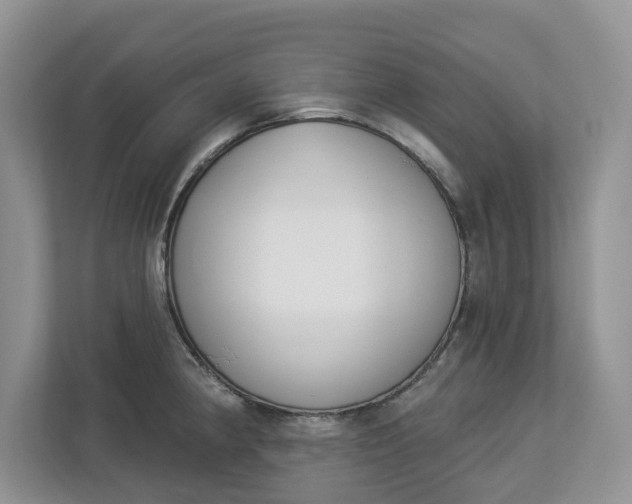 X0000112841190200909041516