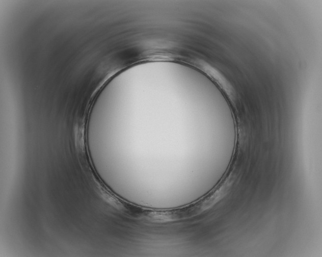 X0000112841194200909041516