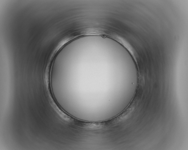 X0000112841195200909041516