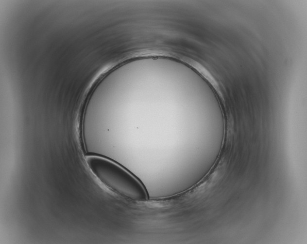 X0000112841197200909041516