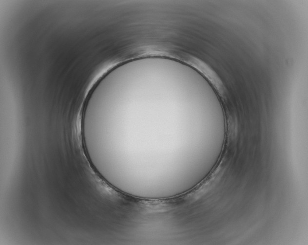 X0000112841198200909041516