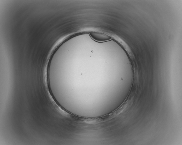 X0000112841199200909041516