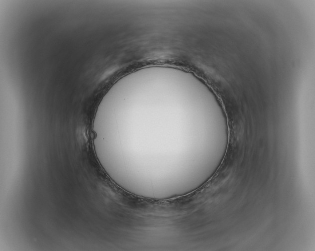 X0000112841206200909041516