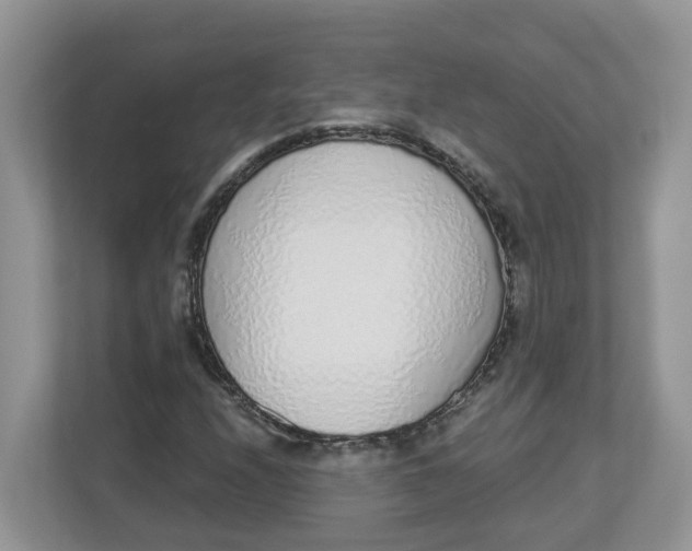 X0000112841208200909041516