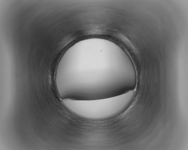 X0000112841209200909041516