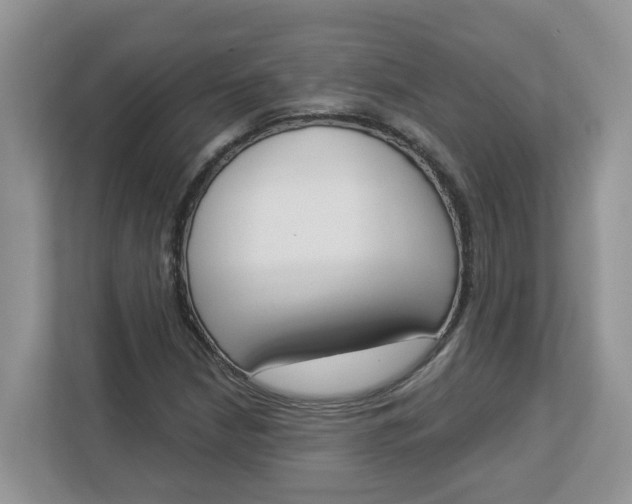 X0000112841210200909041516