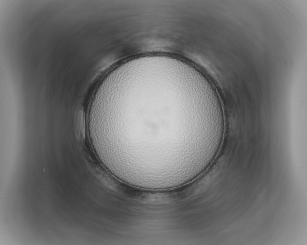 X0000112841219200909041516