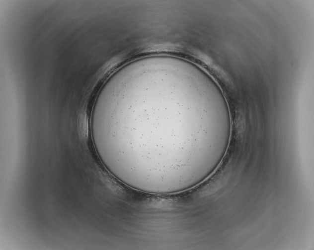 X0000112841221200909041516