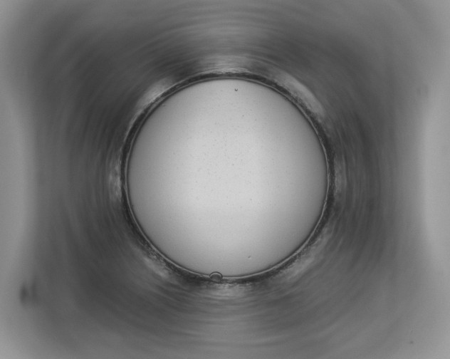 X0000112841226200909041516