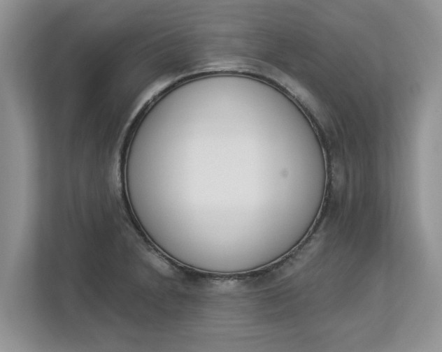 X0000112841230200909041516