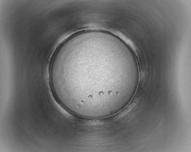 X0000112841239200909041516