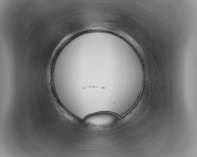 X0000112841240200909041516