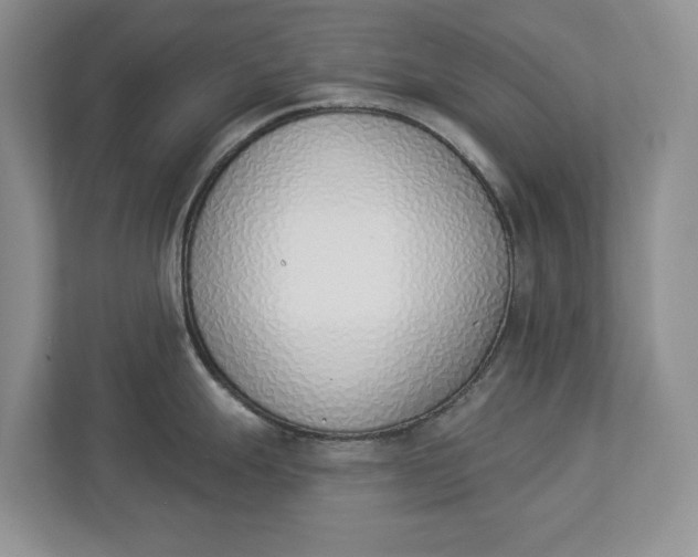 X0000112841247200909041516