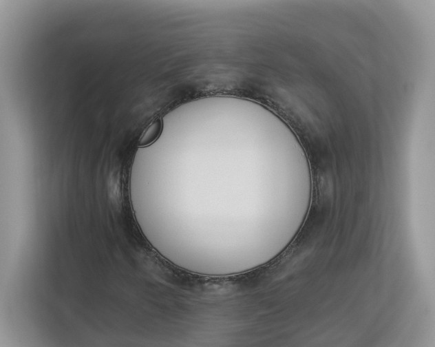 X0000112841250200909041516