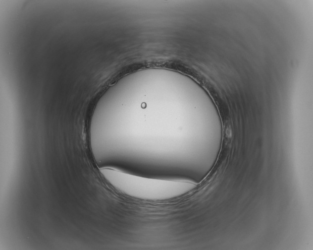 X0000112841252200909041516