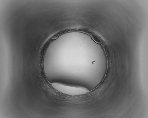 X0000112841256200909041515