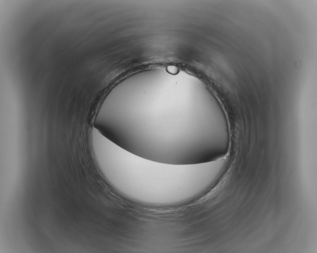 X0000112841257200909041515