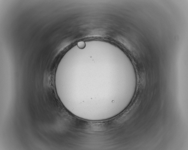 X0000112841258200909041515