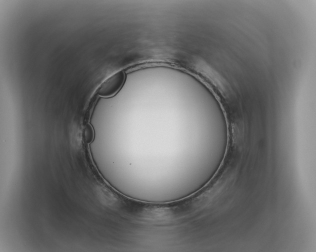 X0000112841260200909041515